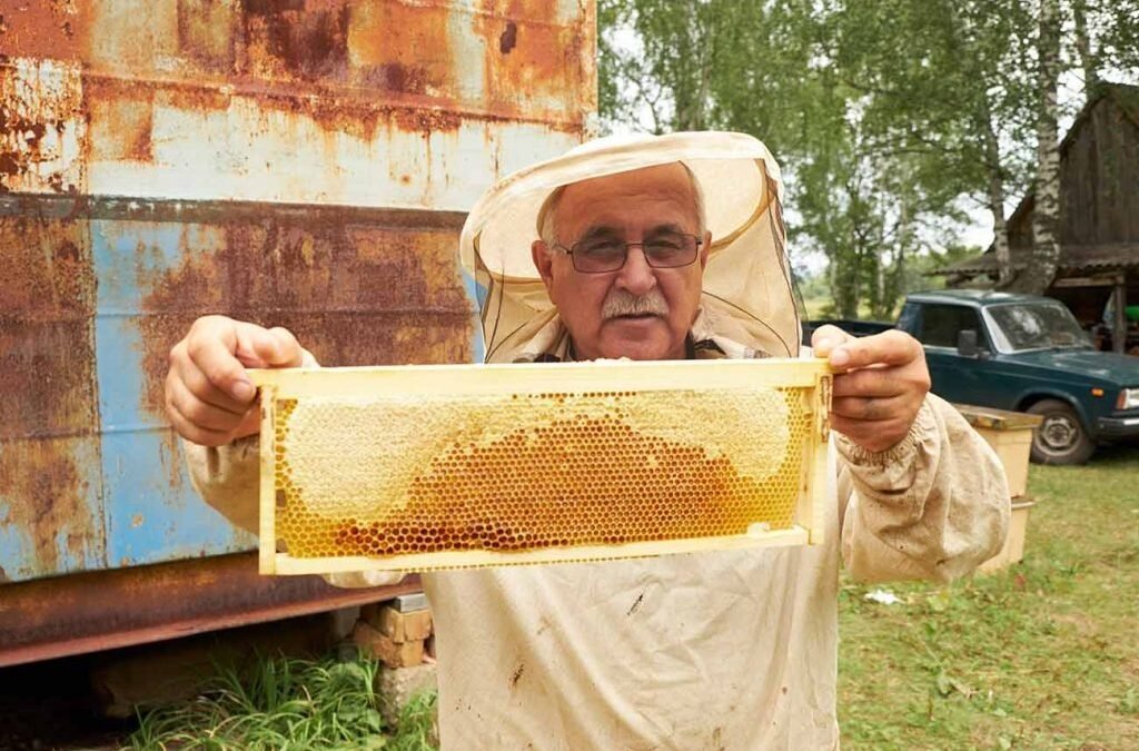 Beekeeper – Bees and Beekeeping
