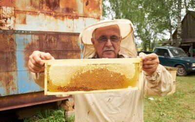 Beekeeper – Bees and Beekeeping